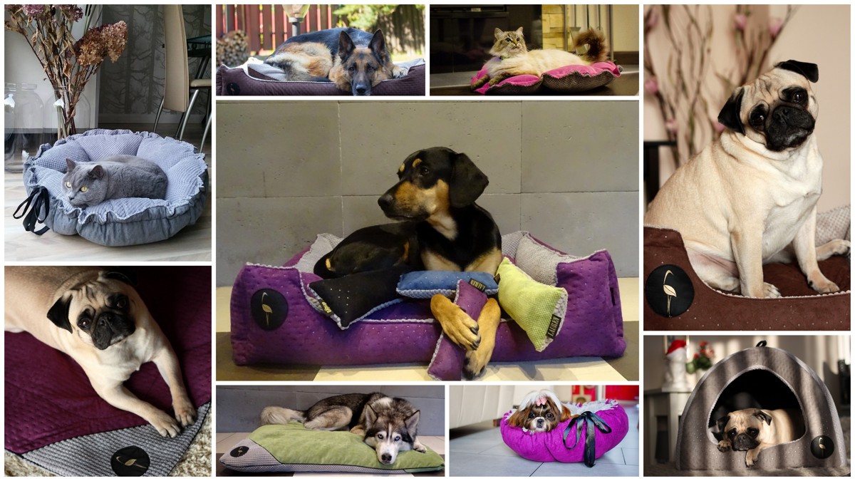 bed sofa house home lauren design for dog cat cushion