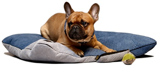 lauren design cushion pillow for dog cat luxury (12)