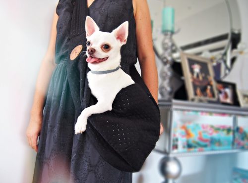 torba listonoszka Sara, torba dla Chihuahua, Lauren design 4